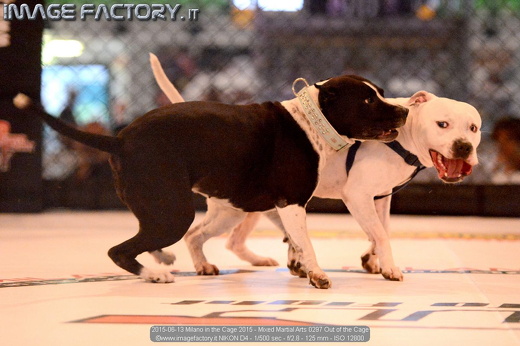 2015-06-13 Milano in the Cage 2015 - Mixed Martial Arts 0297 Out of the Cage